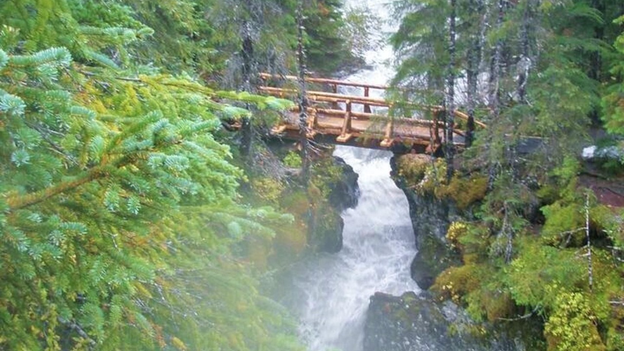Photo of Others in Alyeska
