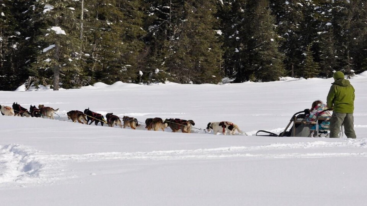 Photo of Others in Alyeska