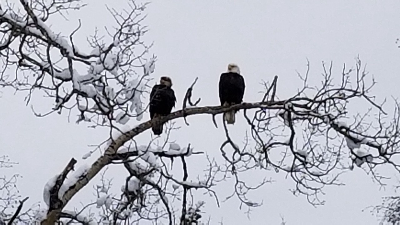 Photo of Others in Cohoe