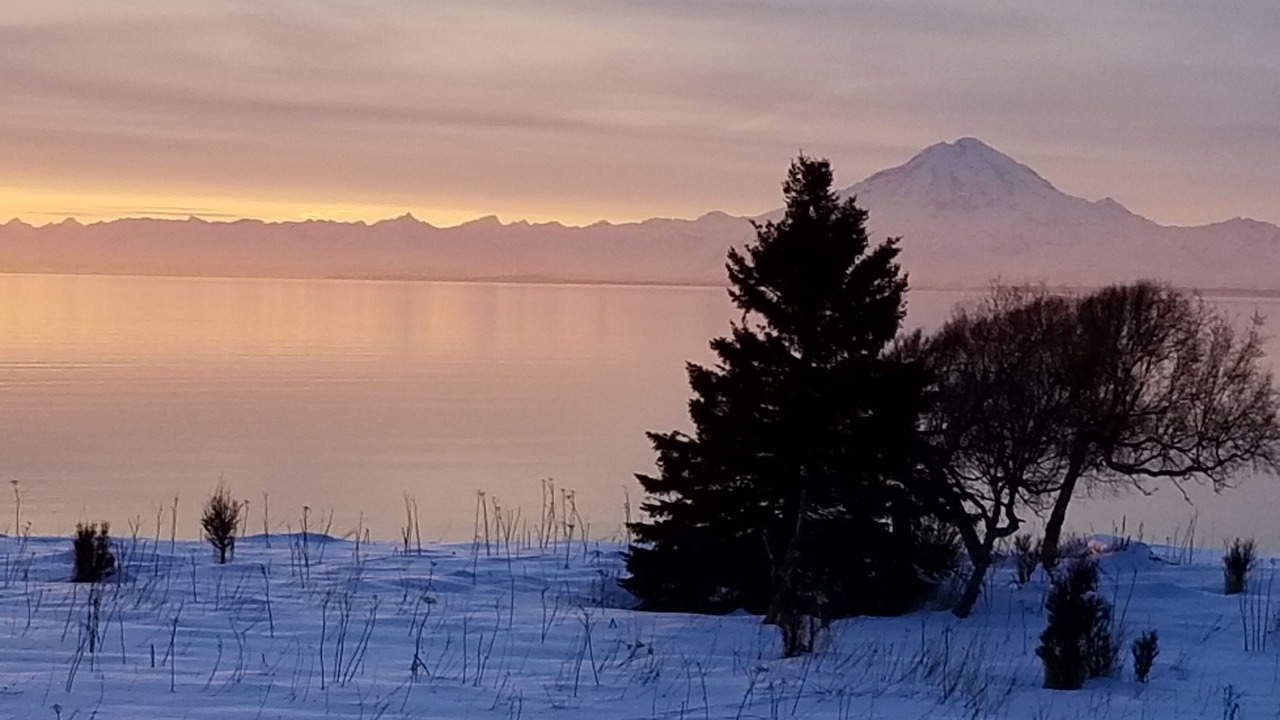 Photo of Others in Cohoe