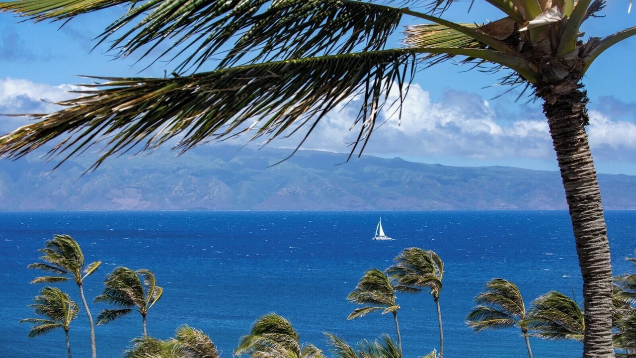 Photo of Others in Montage Kapalua Bay