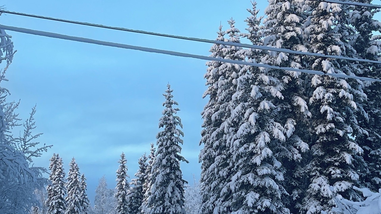 Photo of Others in North Pole
