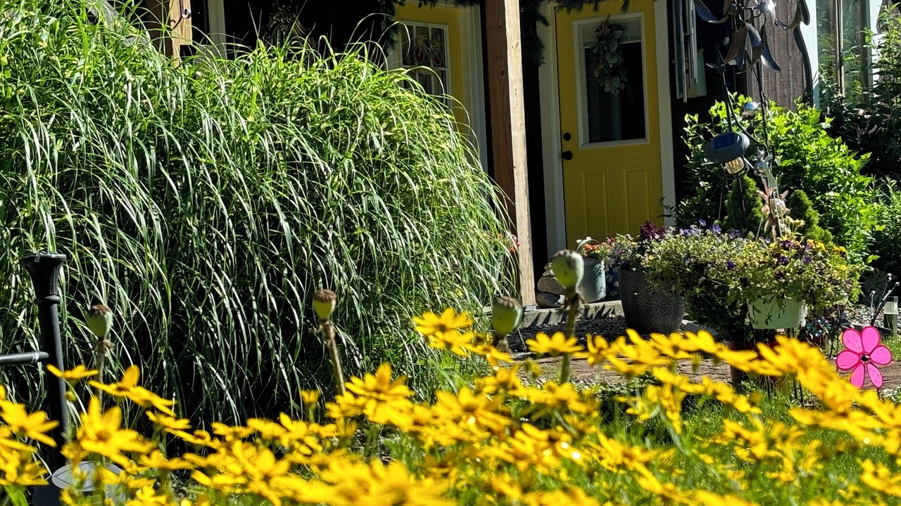 Photo of Outdoor in Shelburne