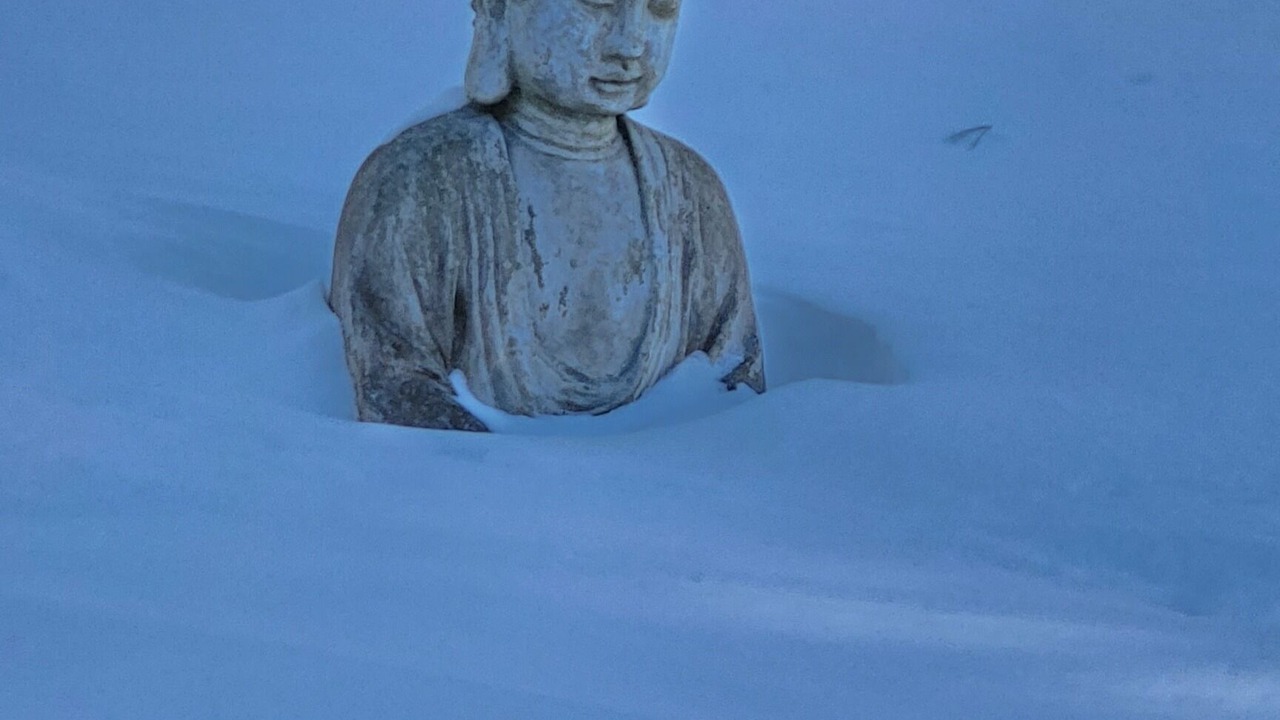 Photo of Outdoor in North Attleboro