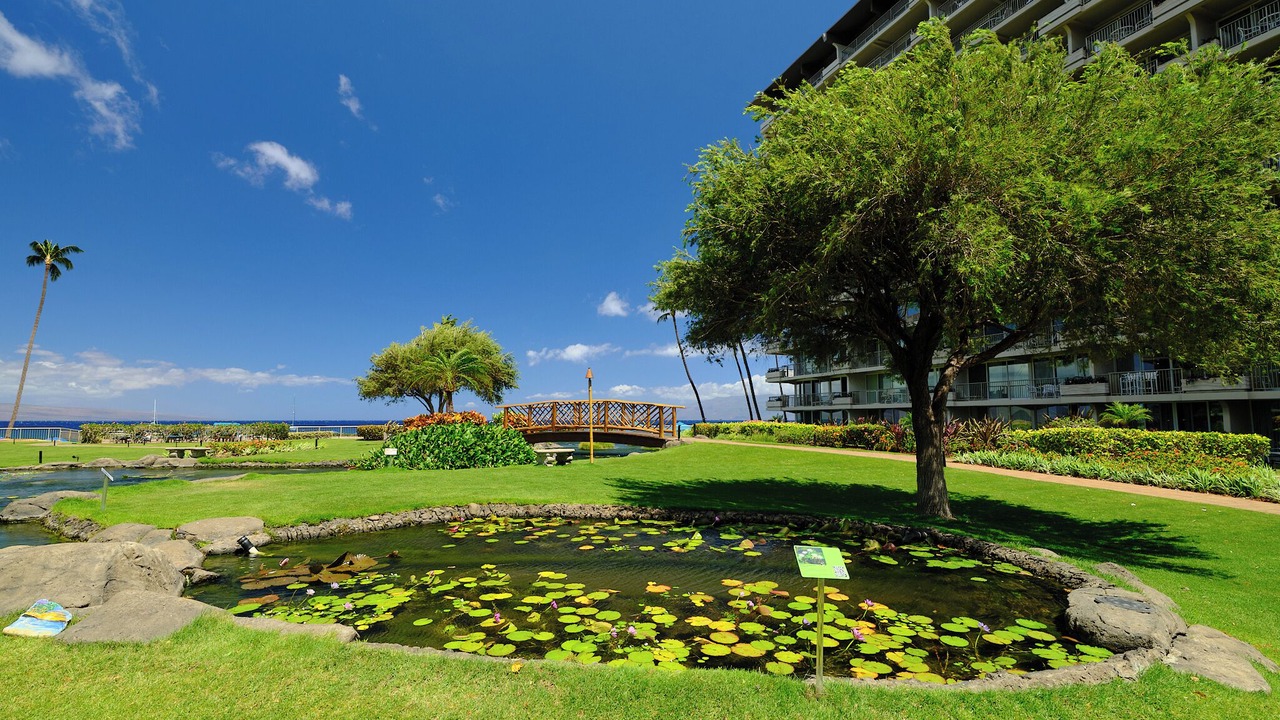 Photo of Outdoor in Kaanapali