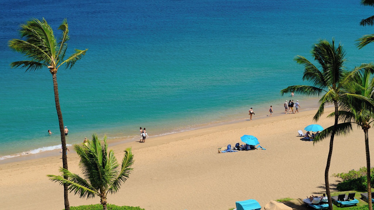 Photo of Others in Kaanapali