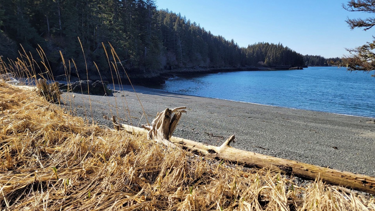 Photo of Others in Homer