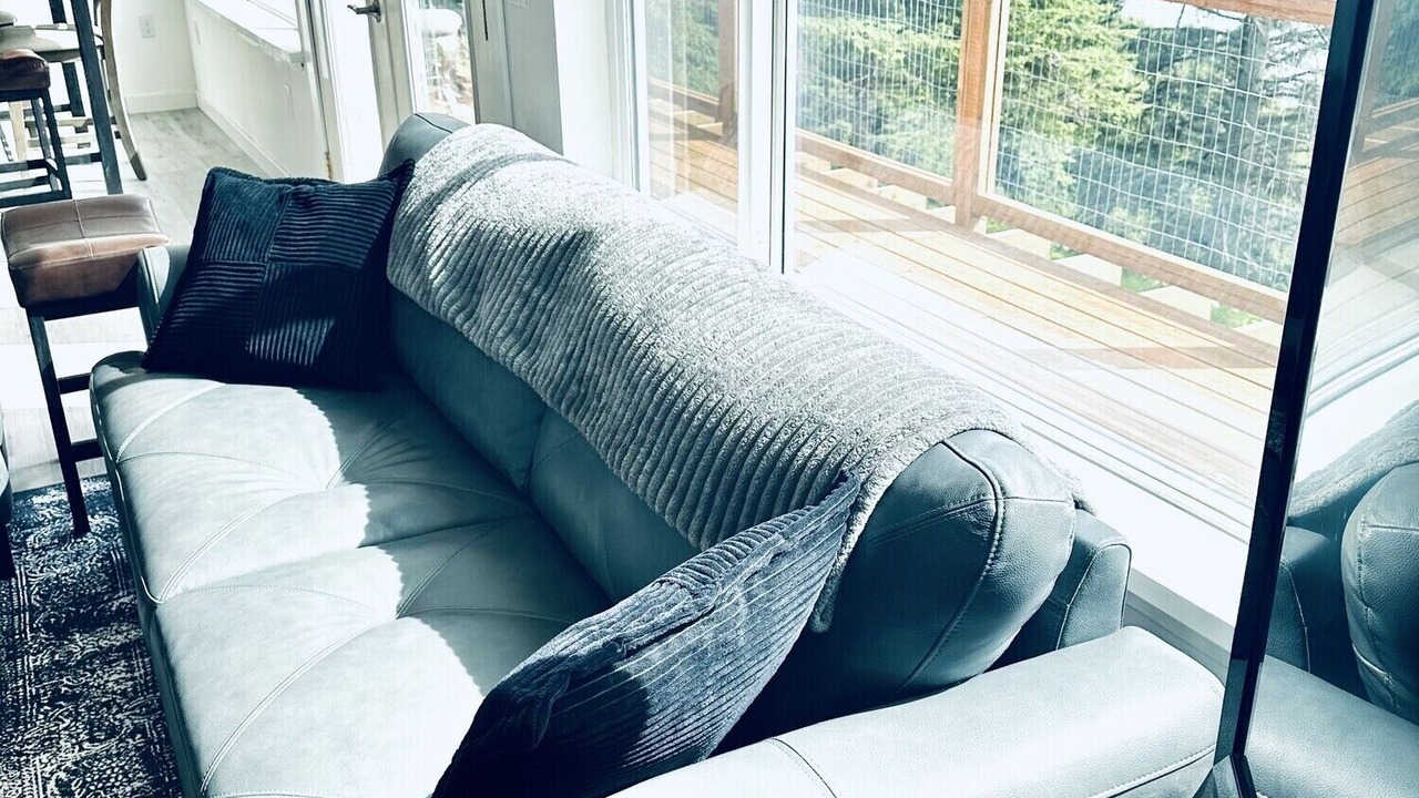 Photo of Livingroom in Homer