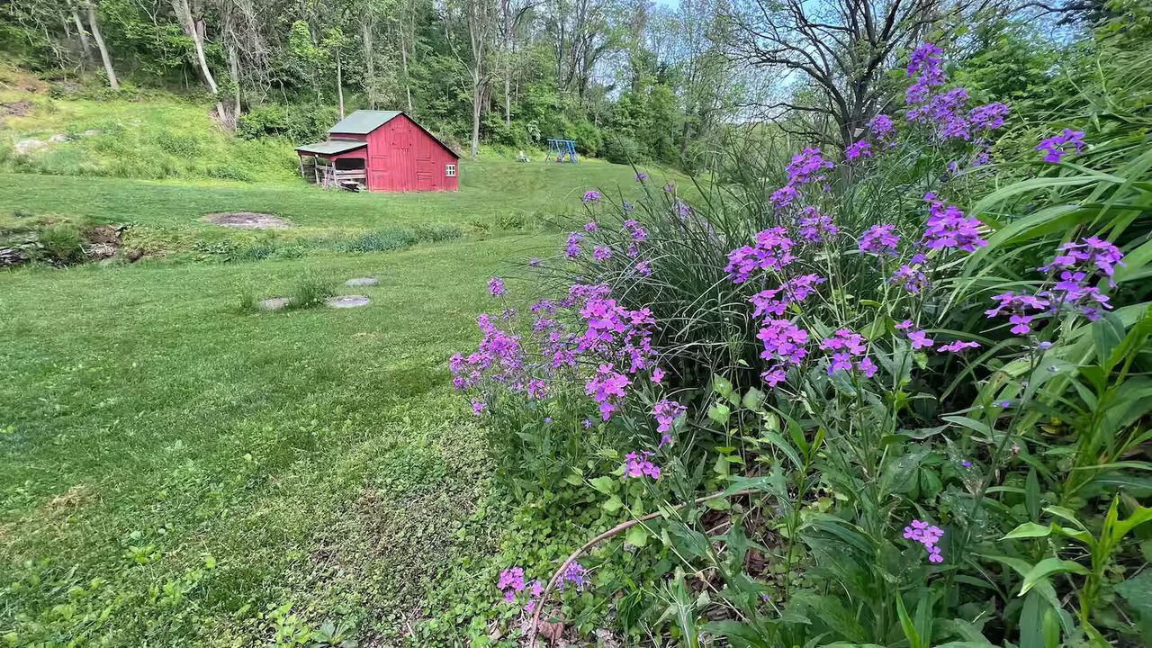 Photo of Outdoor in Robesonia