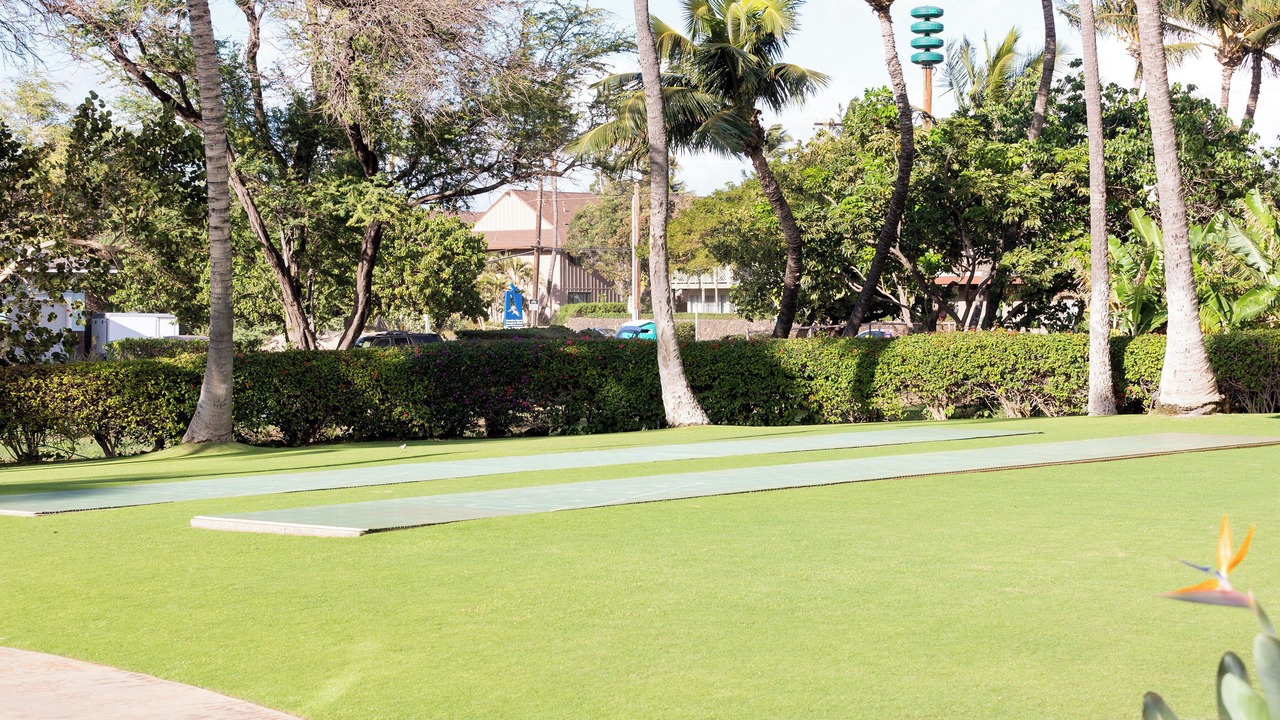 Photo of Outdoor in Kihei