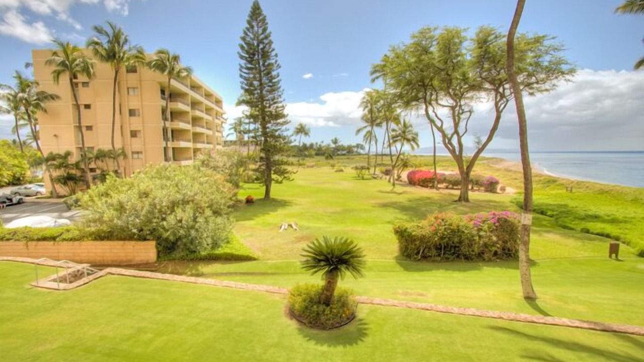 Photo of Outdoor in Kihei