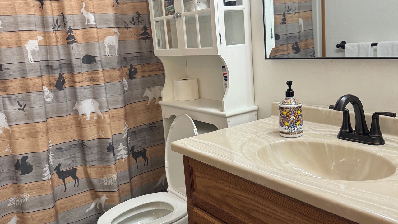 Photo of Bathroom in Mendenhall Valley