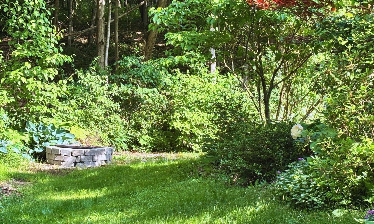 Photo of Outdoor in Canaan