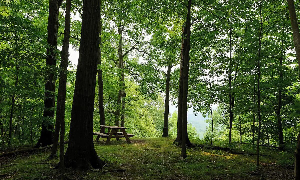 Photo of Outdoor in Cuyahoga Falls