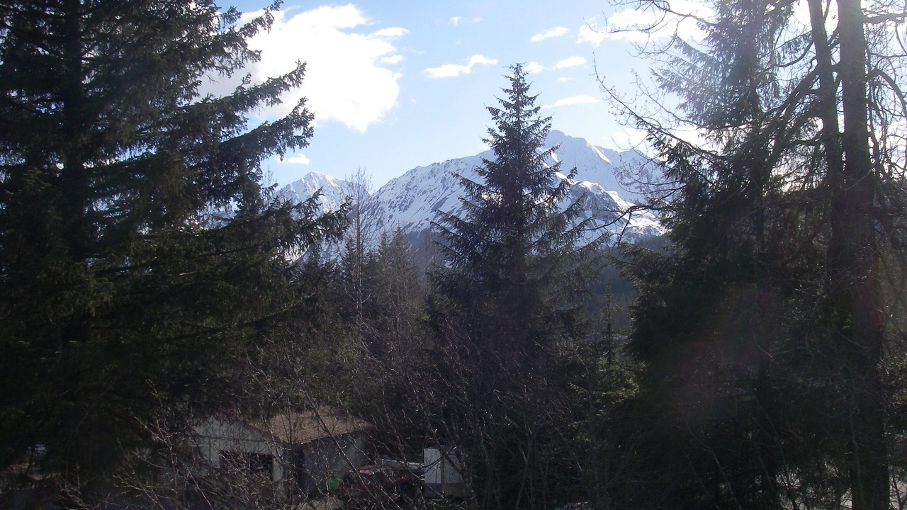 Photo of Outdoor in Questa Woods