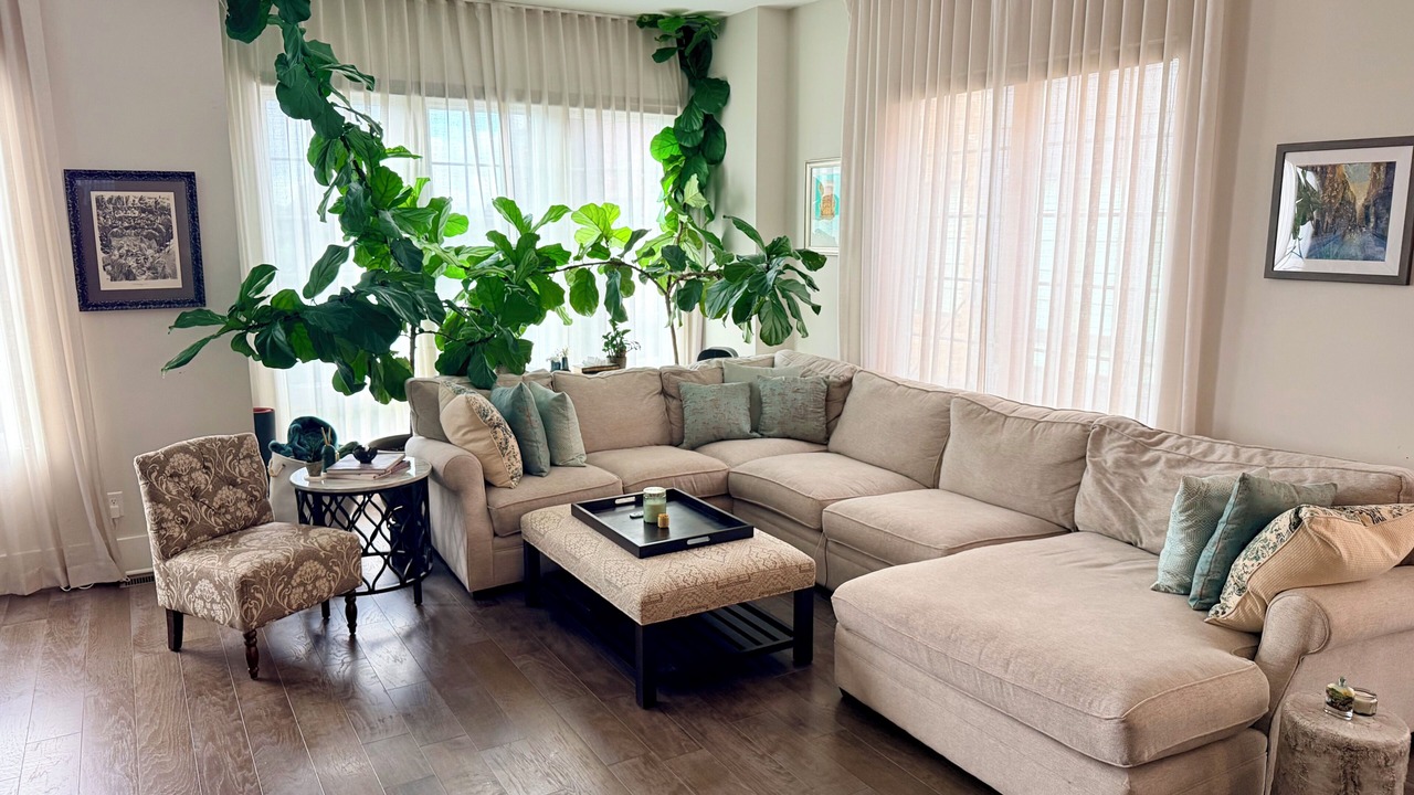 Photo of Livingroom in Castleberry Hill