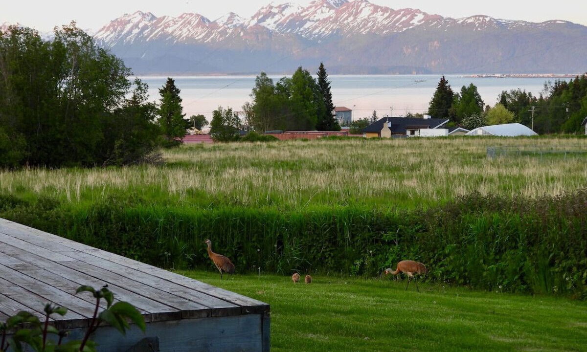 Photo of Others in Kachemak