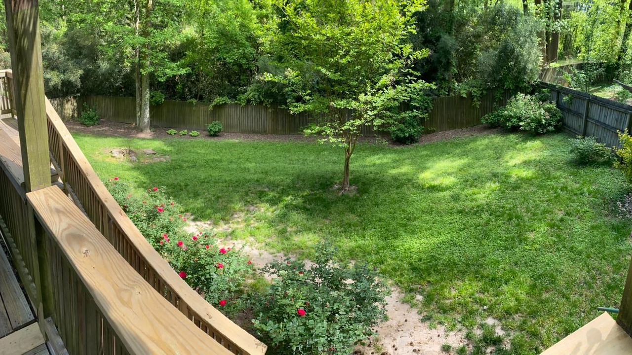 Photo of Outdoor in Marietta