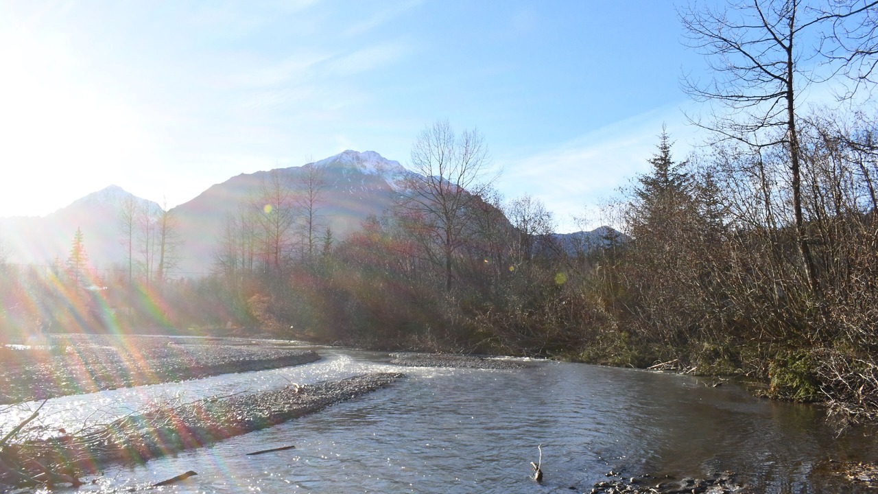 Photo of Others in Bear Creek