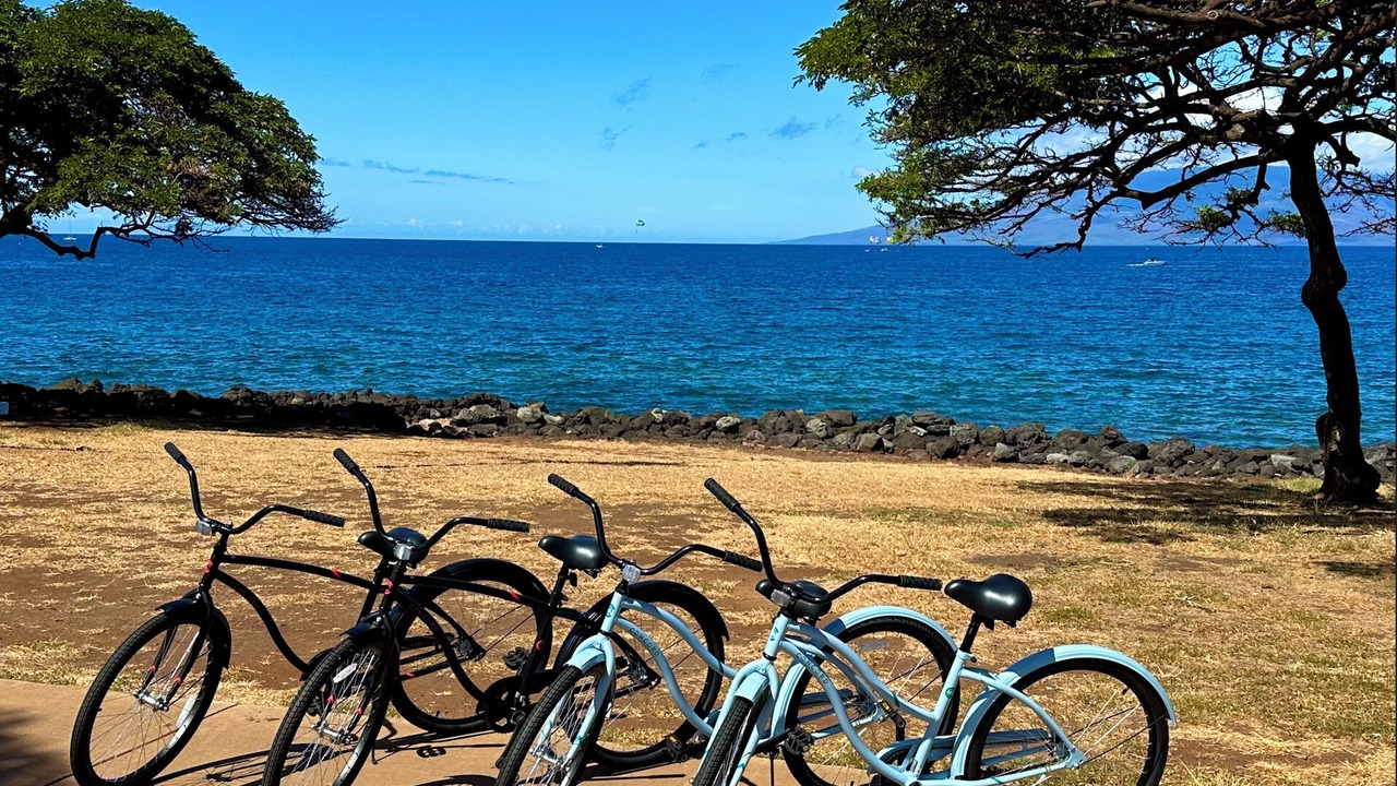 Photo of Outdoor in Kaanapali