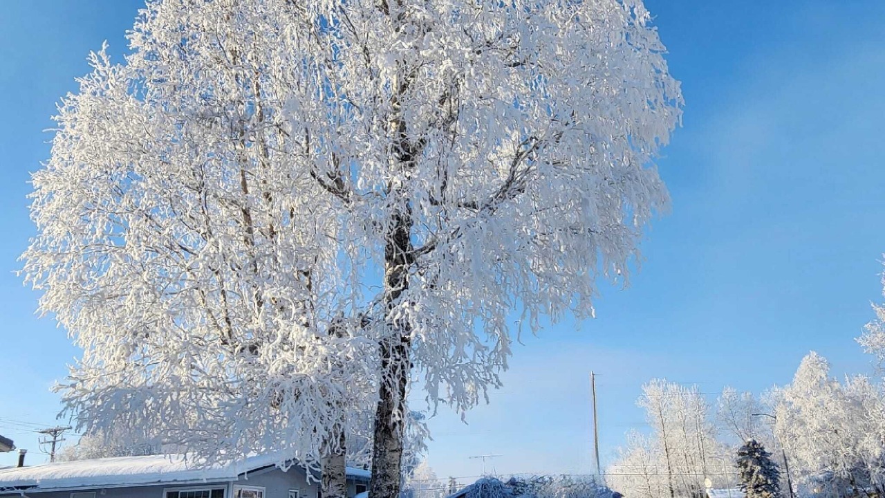Photo of Outdoor in Russian Jack Park