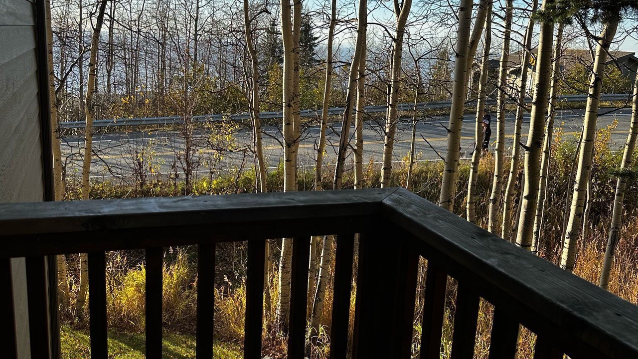Photo of Outdoor in Rabbit Creek
