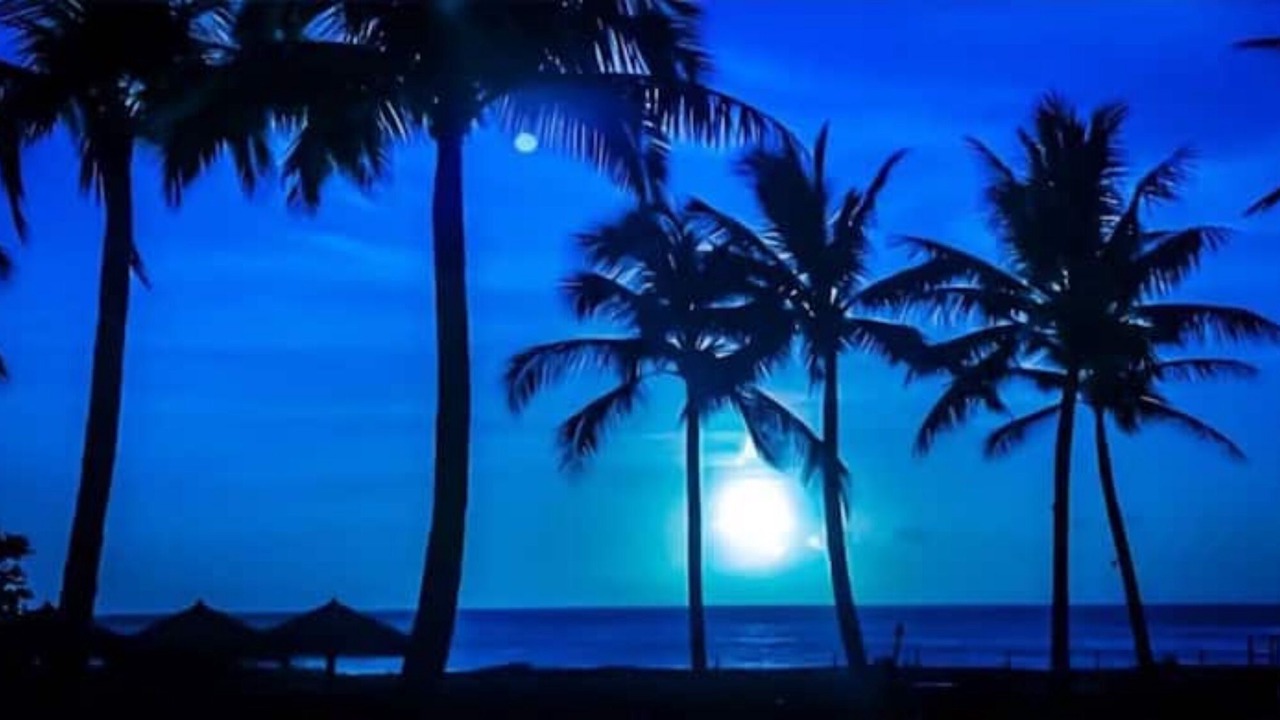 Photo of Others in Lahaina