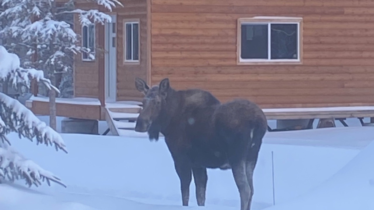 Photo of Outdoor in Fairbanks