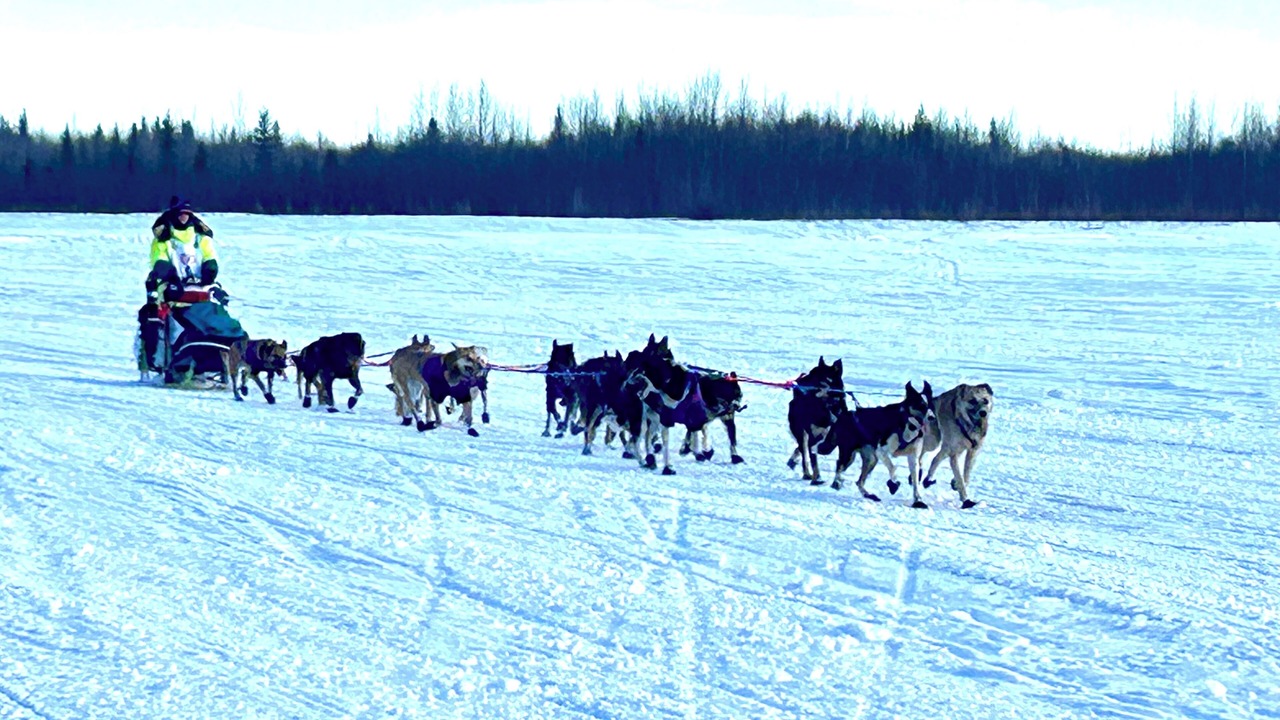 Photo of Others in Fairbanks