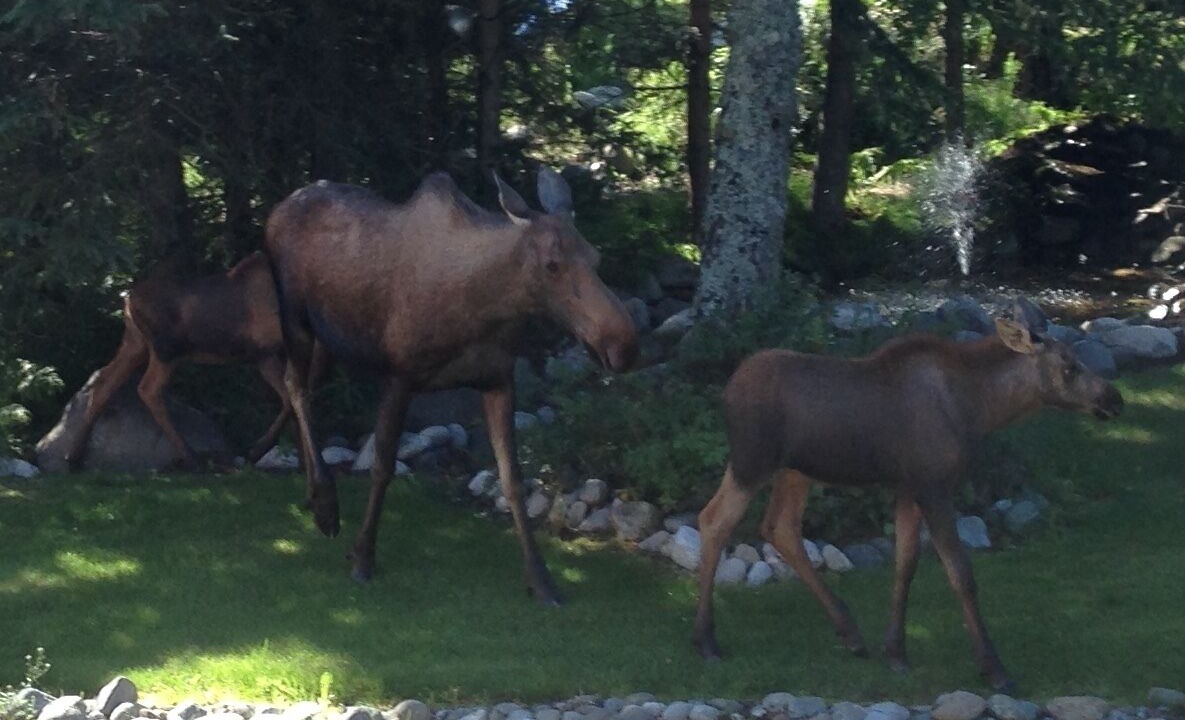 Photo of Others in Rabbit Creek
