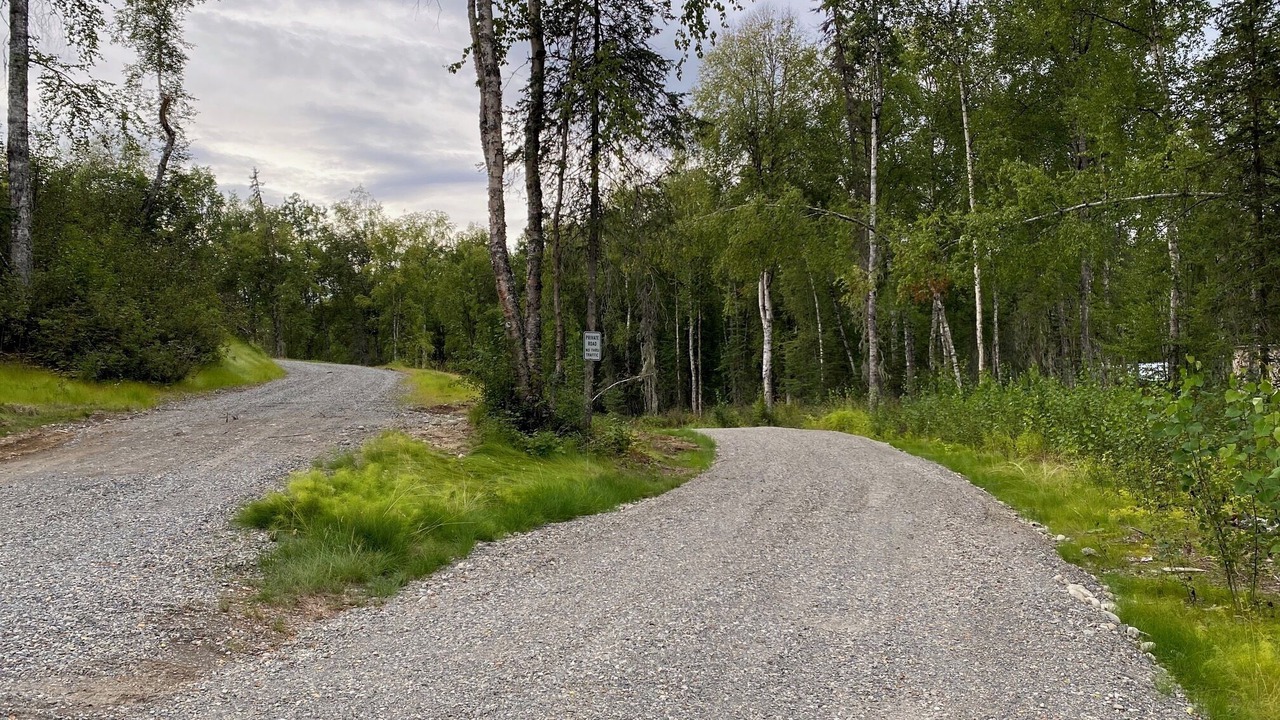 Photo of Others in Talkeetna