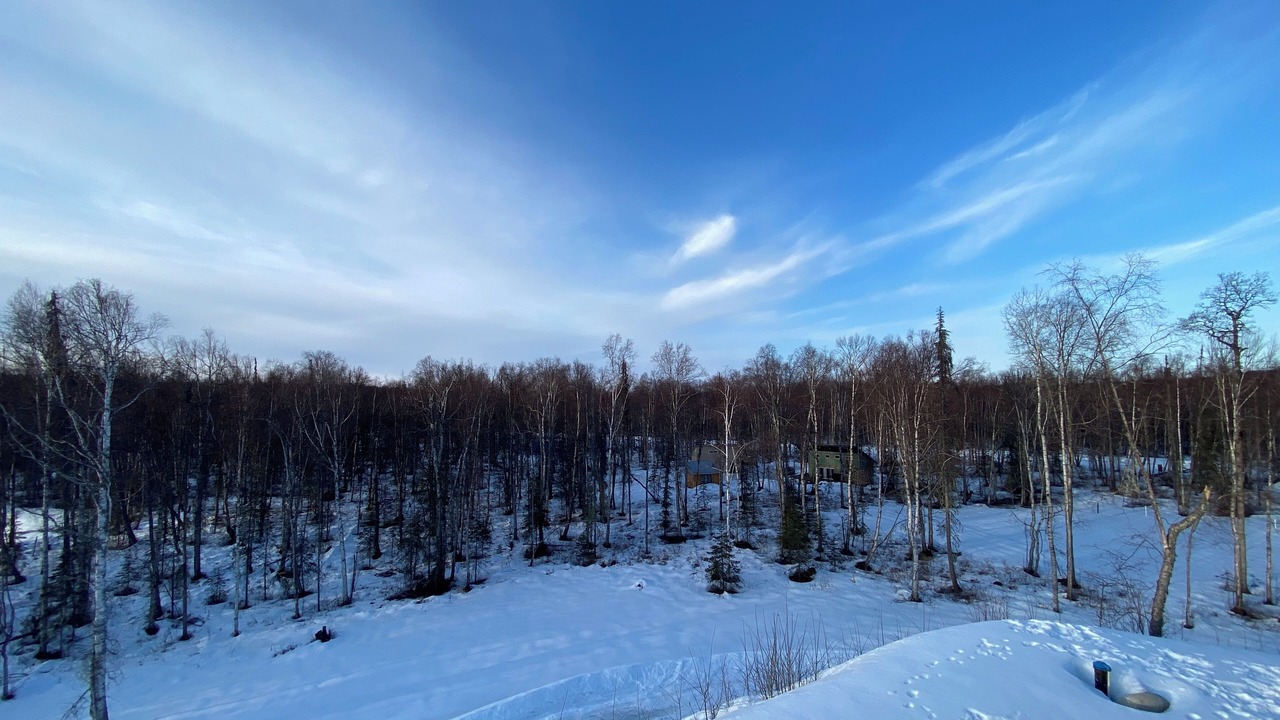 Photo of Others in Talkeetna