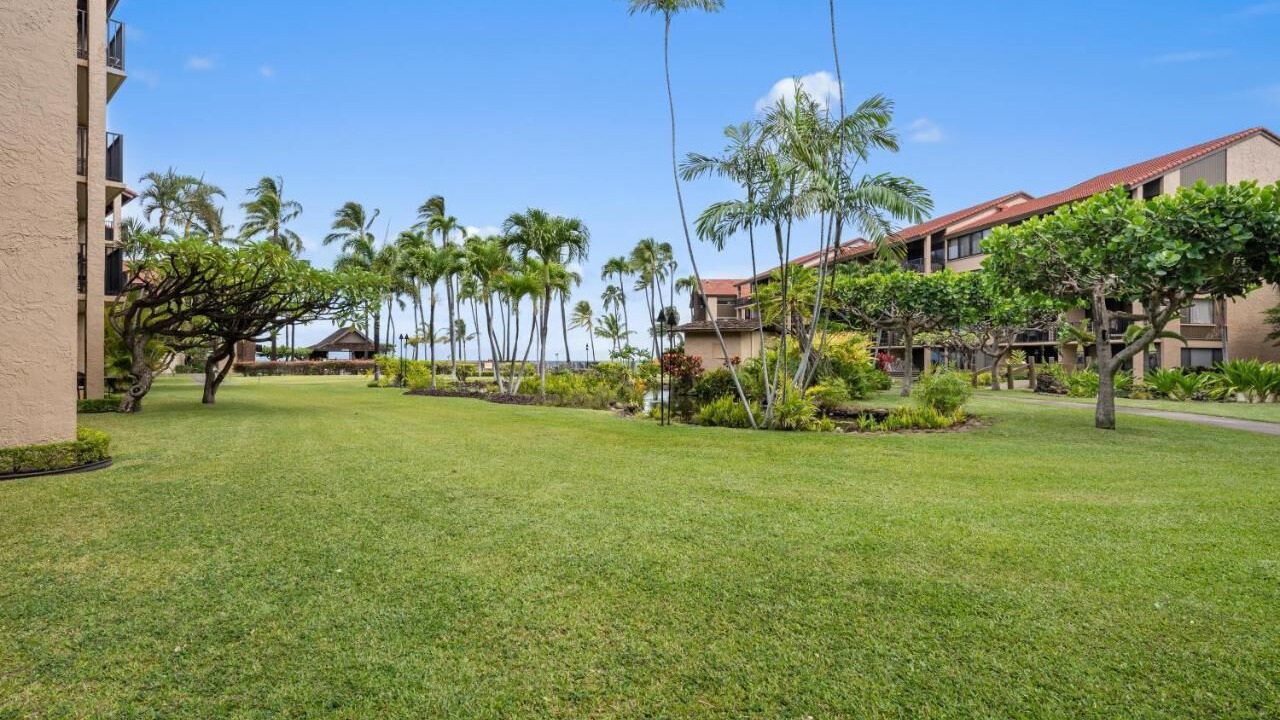 Photo of Outdoor in Honokowai