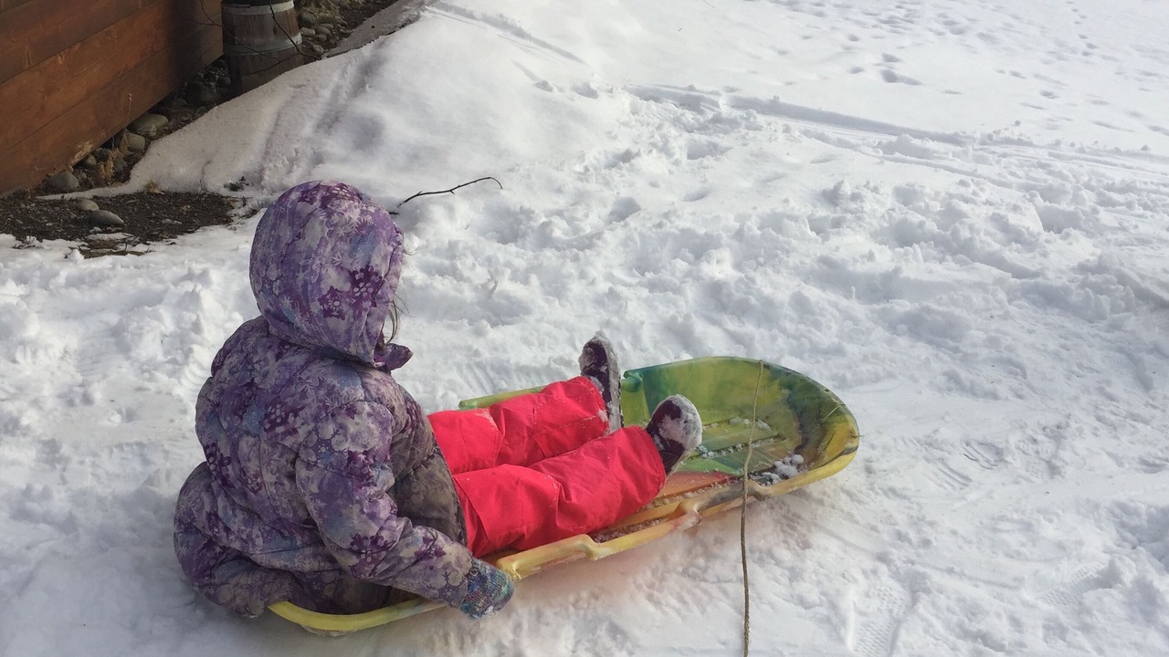 Photo of Others in Wasilla