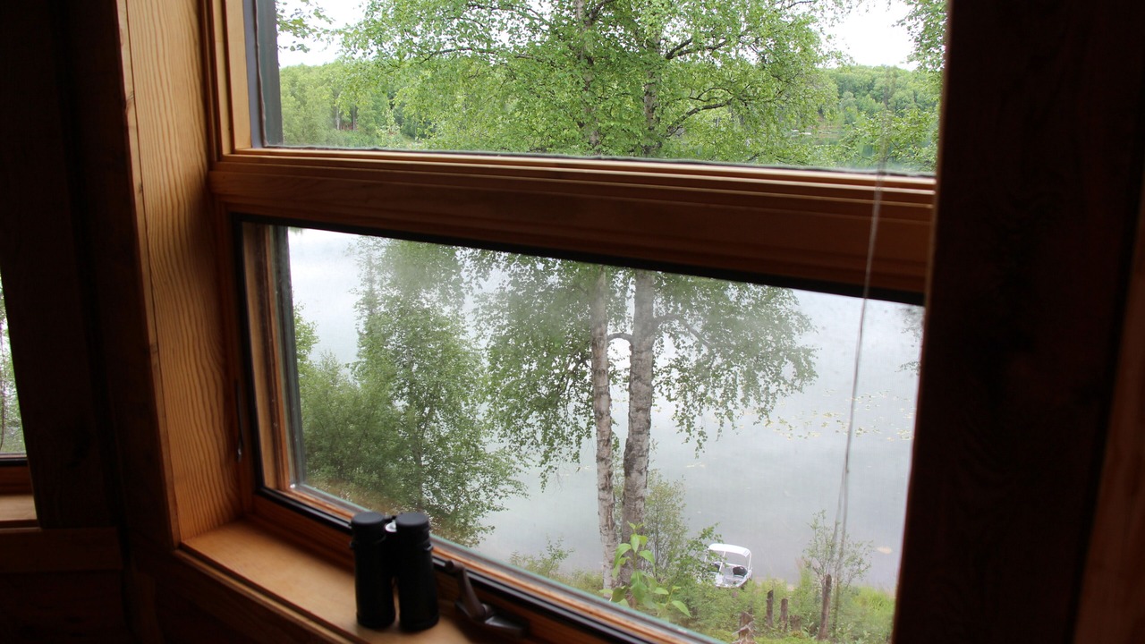 Photo of Others in Susitna North