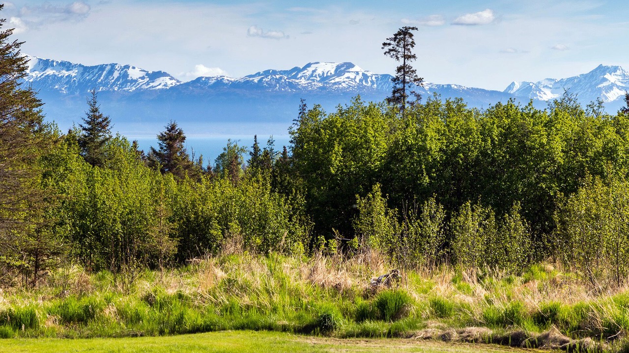 Photo of Outdoor in Fritz Creek