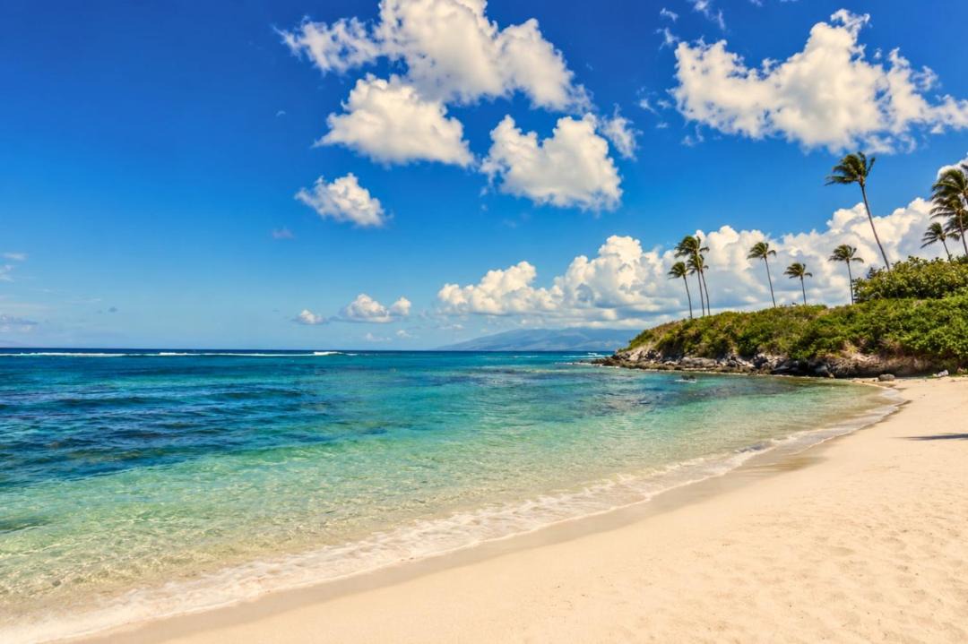 Photo of Others in Montage Kapalua Bay