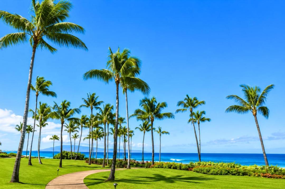 Photo of Others in Montage Kapalua Bay