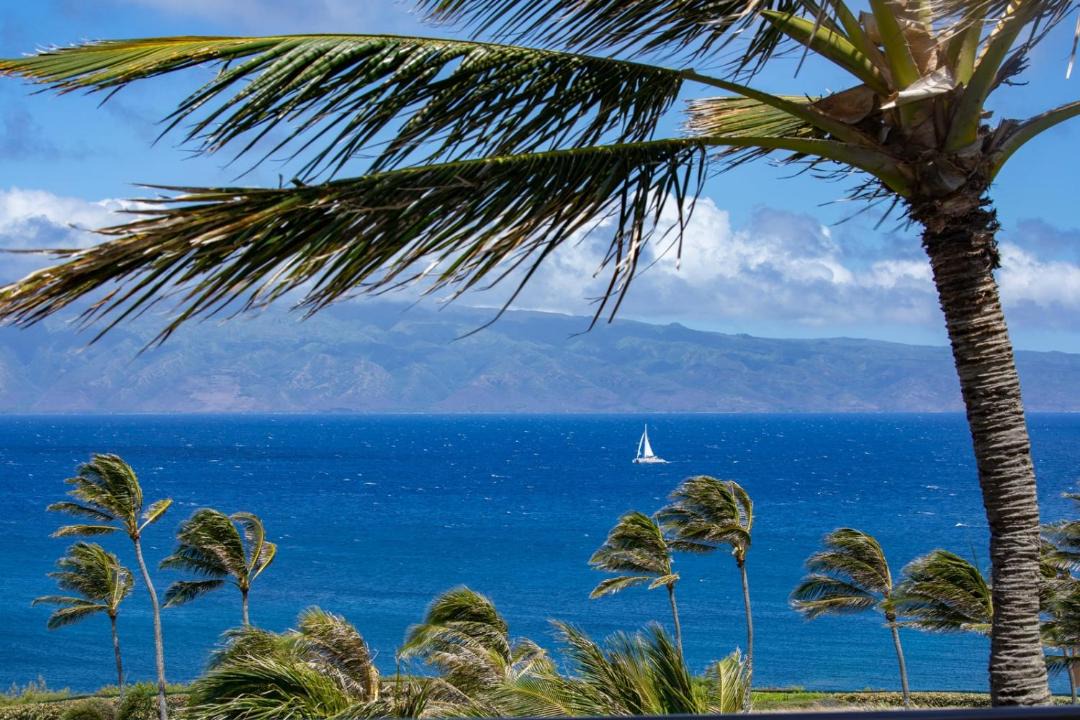 Photo of Others in Montage Kapalua Bay