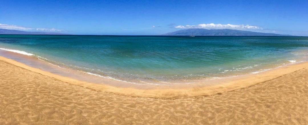 Photo of Others in Kahana