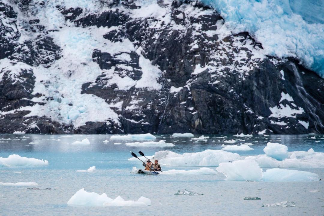 Photo of Others in Halibut Cove