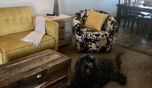 Room #7-Deluxe Suite, 1 King Bed with Sofa bed, Accessible, Non Smoking (Pet Friendly)