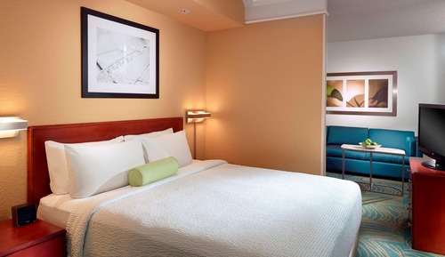 Suite, 1 King Bed with Sofa bed (Mobility/Hearing Access, Roll-In Shwr)