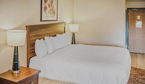 Studio, 1 King Bed, Non Smoking