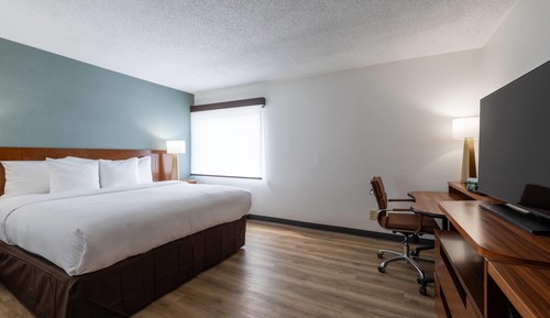 Standard Room, 1 King Bed, Non Smoking