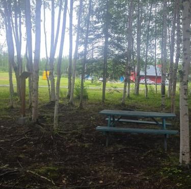 Houston Grass Station Campsite #44